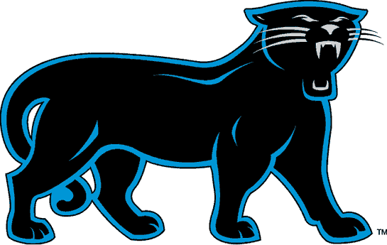 Carolina Panthers (1995-2011, alternate)