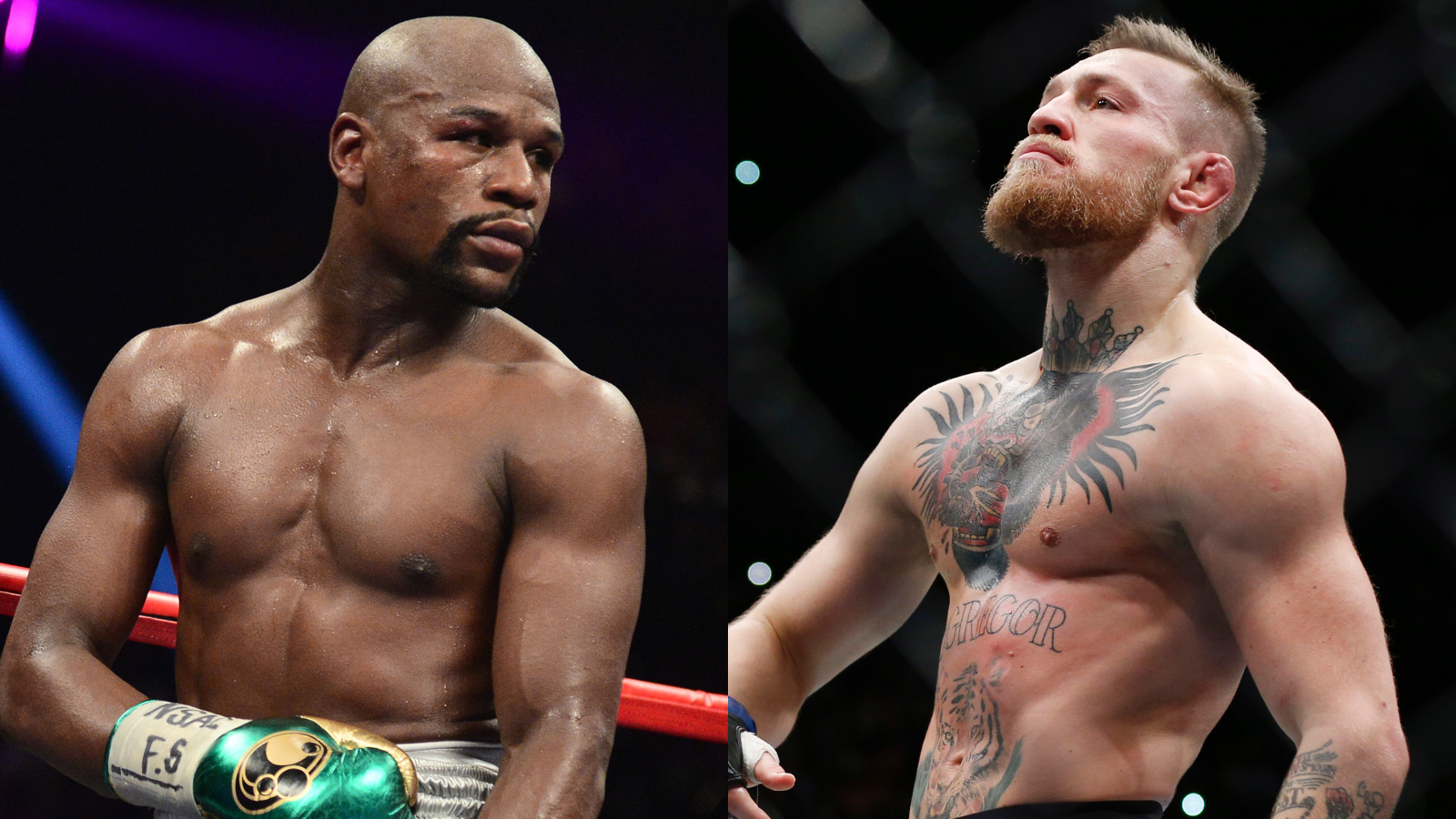 5 Key Facts To Consider For Conor Mcgregor Vs Floyd Mayweather