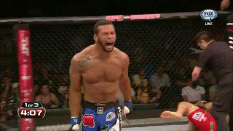 Thiago Santos TKO's Ronny Markes